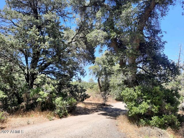 52116 N HUTTON PEAK Road, Miami, AZ 85539