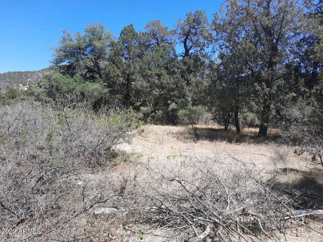 52116 N HUTTON PEAK Road, Miami, AZ 85539