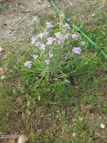 52116 N HUTTON PEAK Road, Miami, AZ 85539