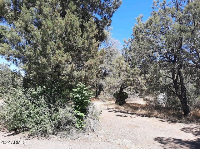 52116 N HUTTON PEAK Road, Miami, AZ 85539