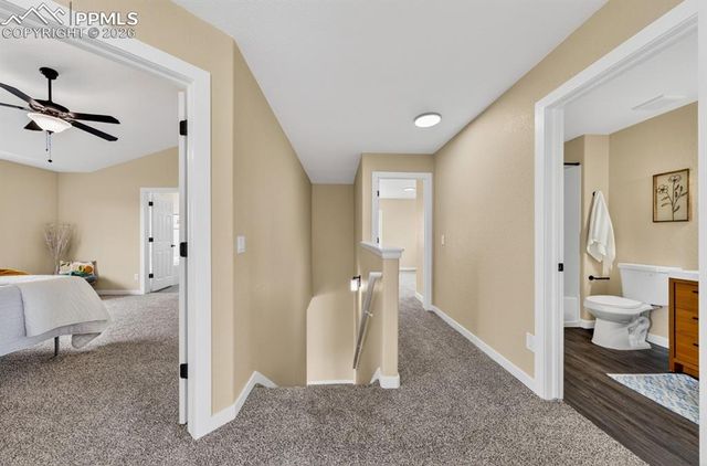 6292 Roundup Butte Street, Colorado Springs, CO 80925