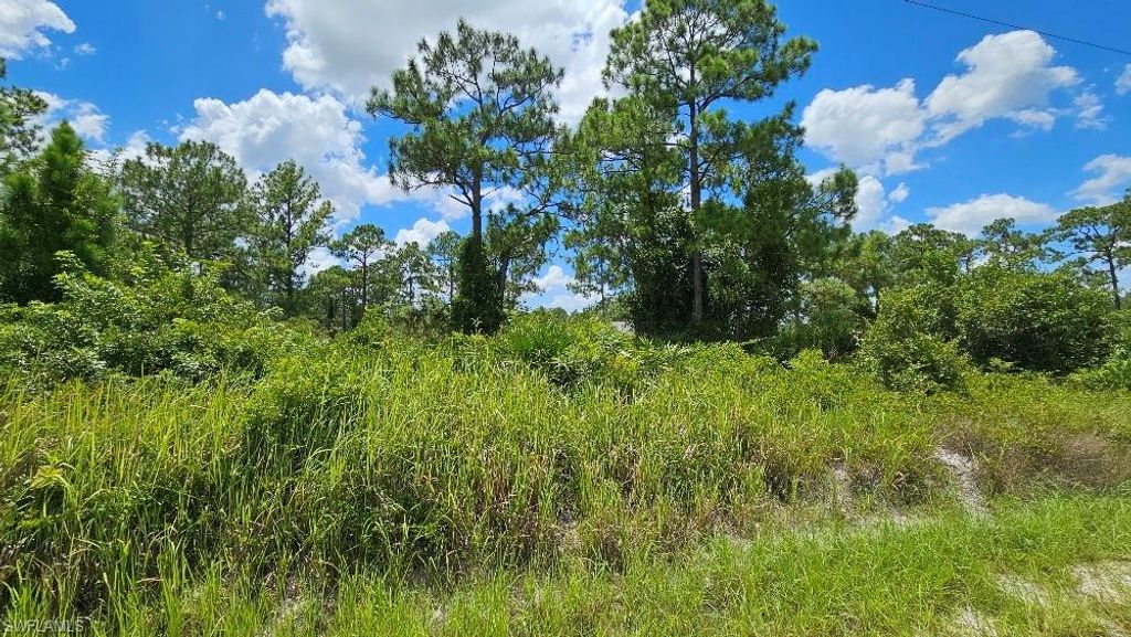 1213 Edison AVE, LEHIGH ACRES, FL 33972 — photo 2