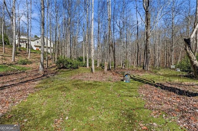 118 Jordan Lane, Talking Rock, GA 30175