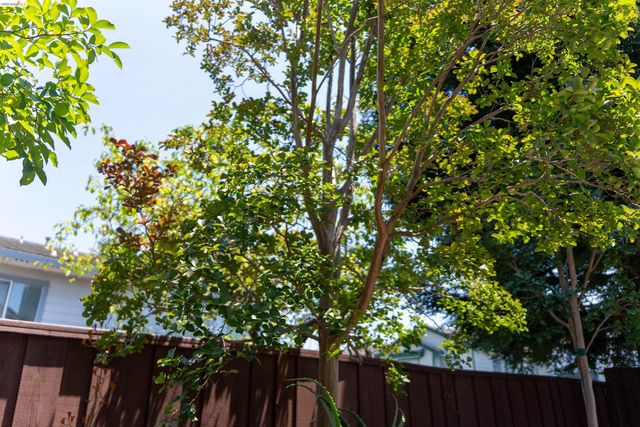 18911 Sydney Cir, Castro Valley, CA 94546