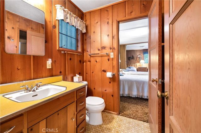 29059 Hook Creek Road, Cedar Glen, CA 92321