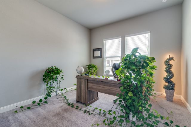 268 Cisco Trail, Forney, TX 75126