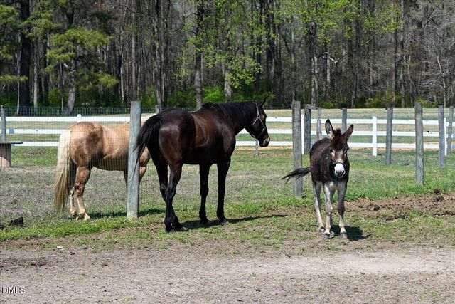 31 Chasewood Drive, Angier, NC 27501