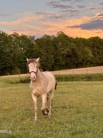 31 Chasewood Drive, Angier, NC 27501