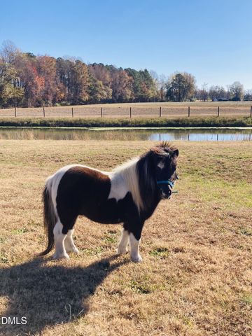 31 Chasewood Drive, Angier, NC 27501