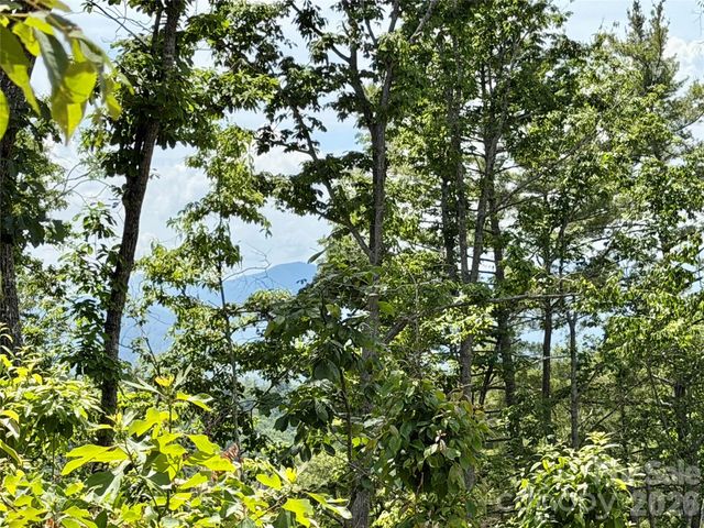 19 Villa Nova Drive, Asheville, NC 28804