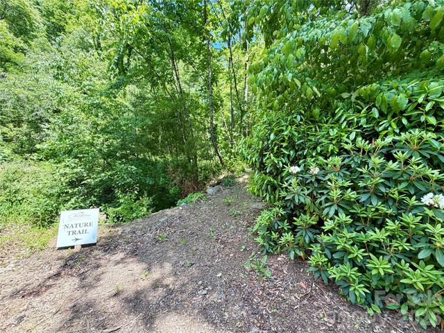 19 Villa Nova Drive, Asheville, NC 28804