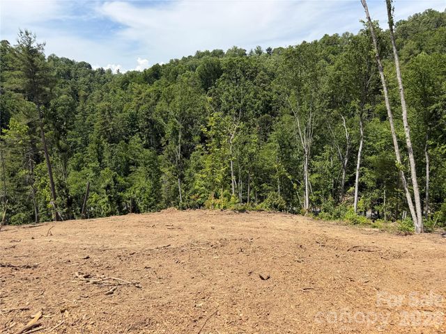 19 Villa Nova Drive, Asheville, NC 28804