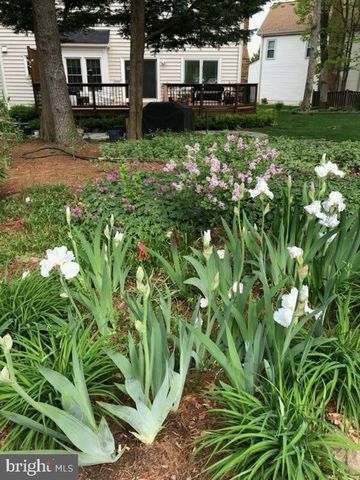 6125 SANDSTONE CT, Clifton, VA 20124