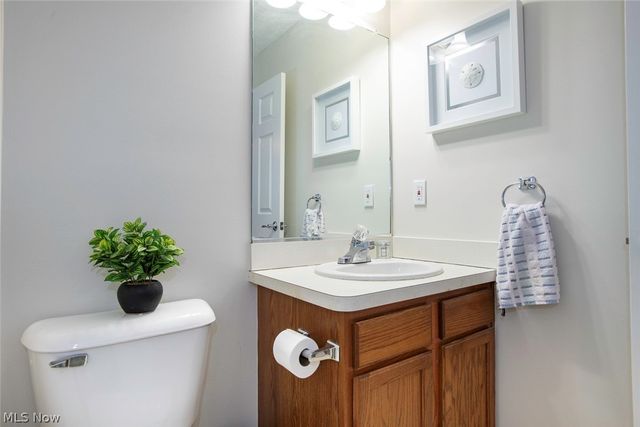 1127 Lake Meadow Lane, Brunswick, OH 44212