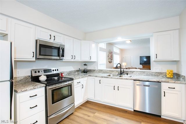 1127 Lake Meadow Lane, Brunswick, OH 44212