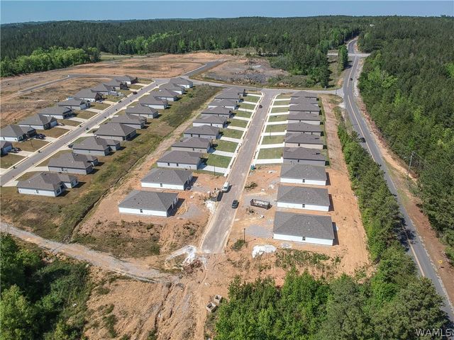 10343 Squires, Vance, AL 35490