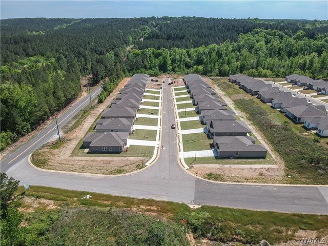 10343 Squires, Vance, AL 35490