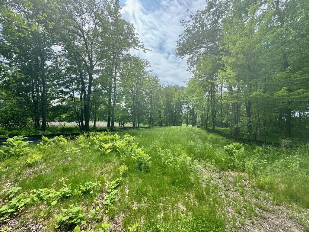 110 177th Avenue NE, Ham Lake, MN 55304