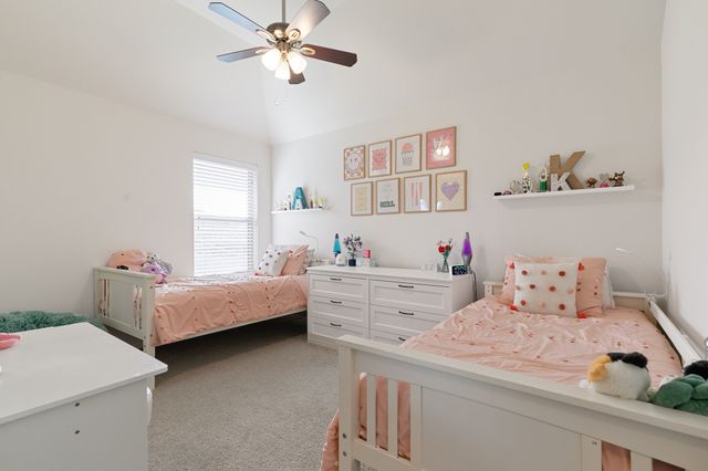 829 Pier Street, Little Elm, TX 76227