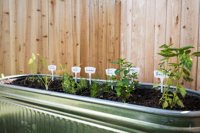 8016 Willow Street B, Houston, TX 77088