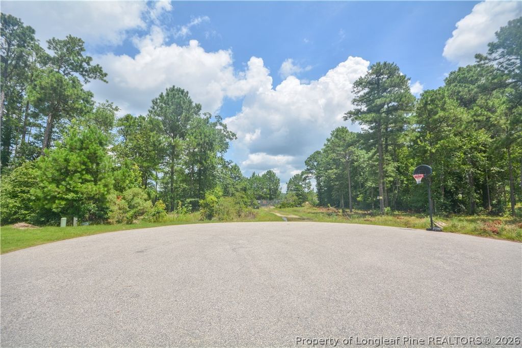 226 Clearview Court, Sanford, NC 27332 — photo 12