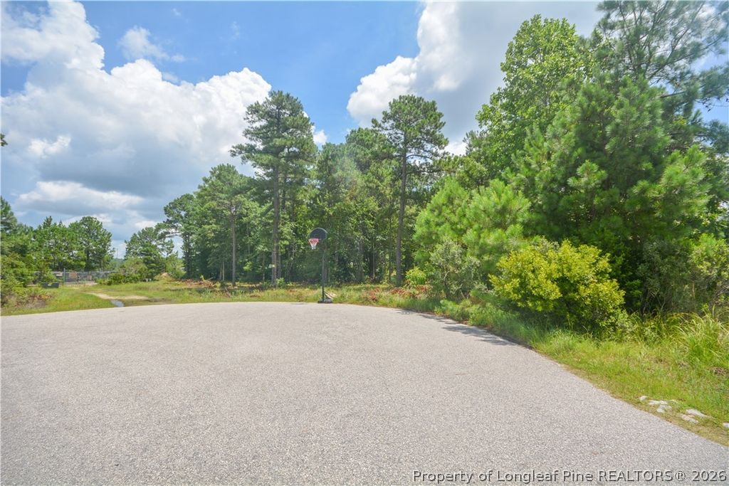 226 Clearview Court, Sanford, NC 27332 — photo 13