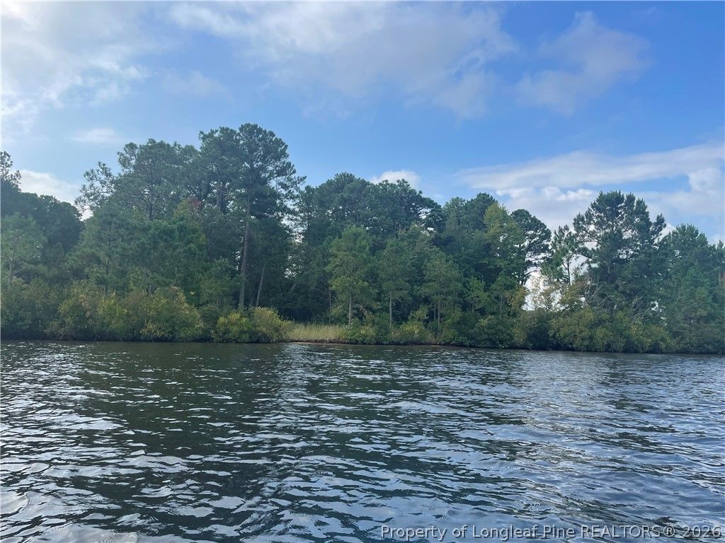 226 Clearview Court, Sanford, NC 27332 — photo 3