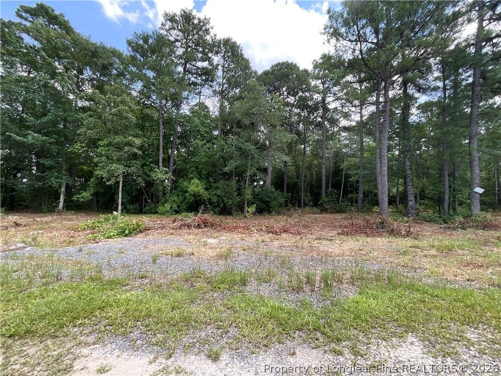 226 Clearview Court, Sanford, NC 27332 — photo 6