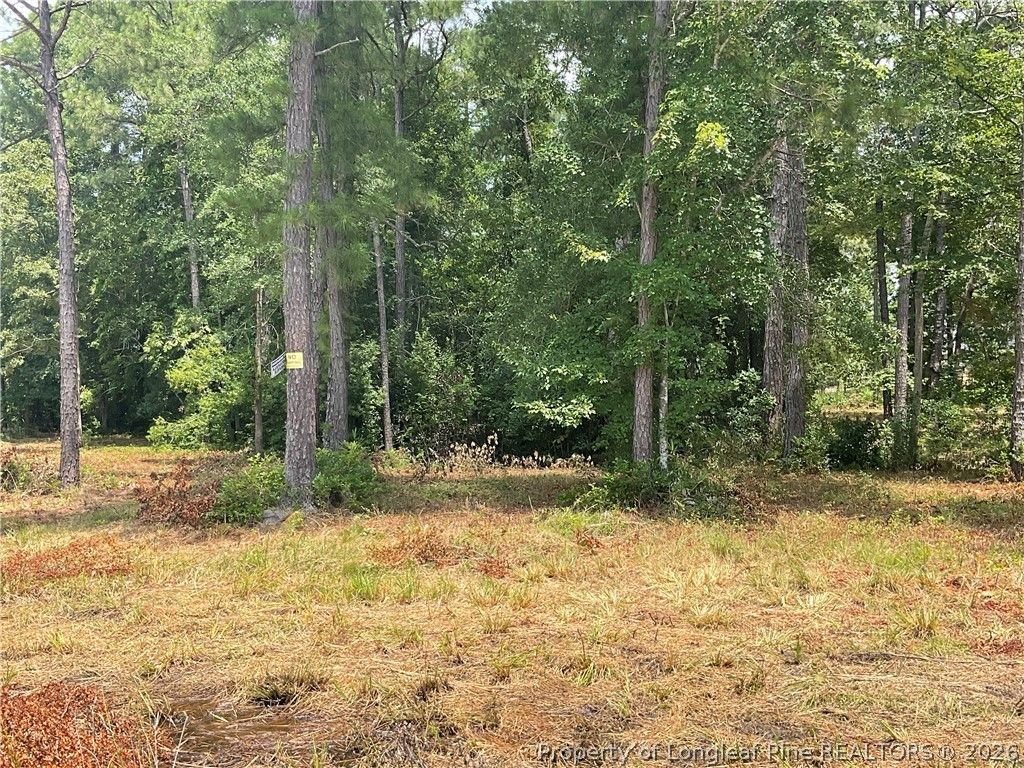 226 Clearview Court, Sanford, NC 27332 — photo 7