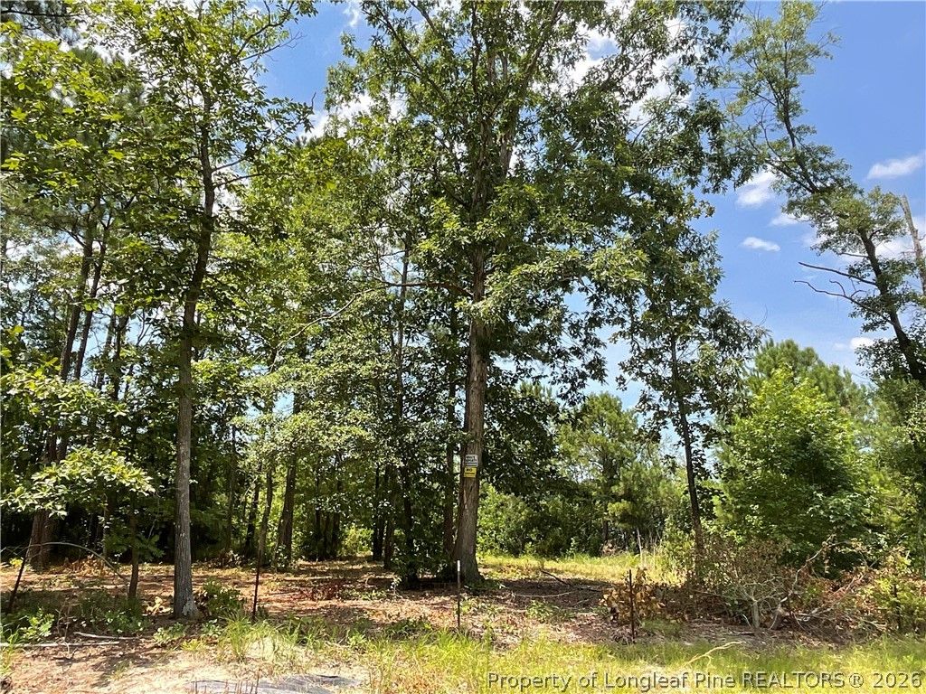 226 Clearview Court, Sanford, NC 27332 — photo 8