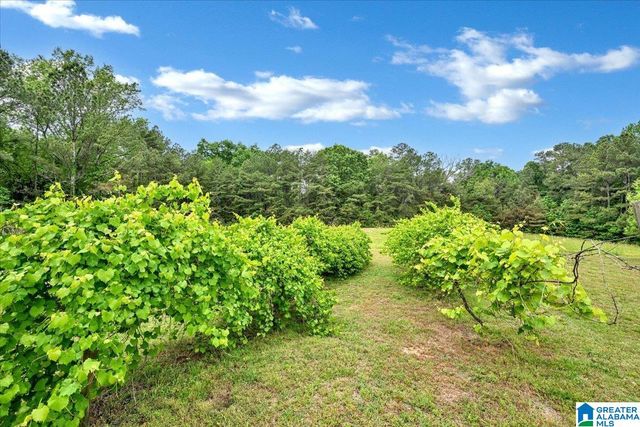 4608 COUNTY ROAD 522, Hanceville, AL 35077