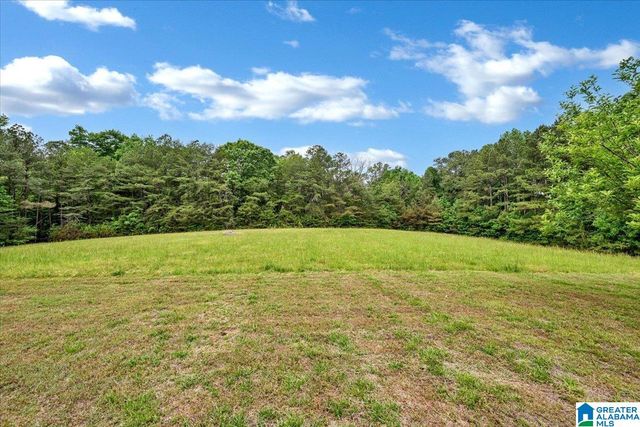 4608 COUNTY ROAD 522, Hanceville, AL 35077