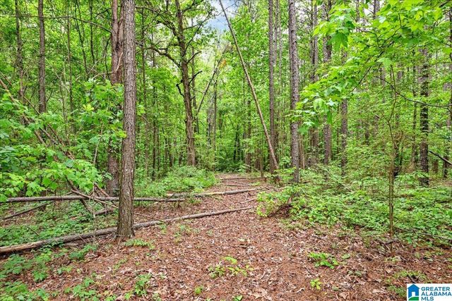 4608 COUNTY ROAD 522, Hanceville, AL 35077