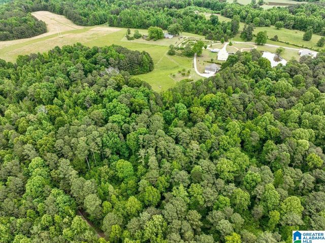 4608 COUNTY ROAD 522, Hanceville, AL 35077