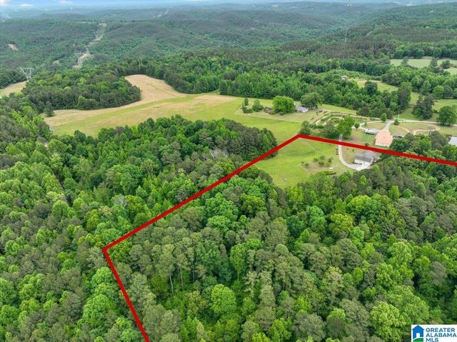 4608 COUNTY ROAD 522, Hanceville, AL 35077