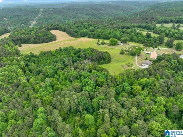 4608 COUNTY ROAD 522, Hanceville, AL 35077