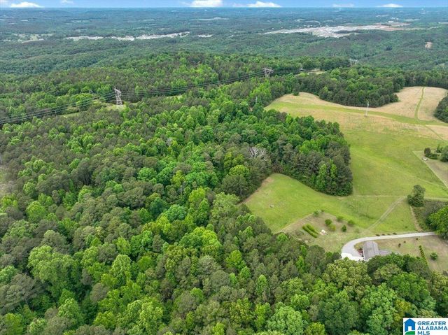 4608 COUNTY ROAD 522, Hanceville, AL 35077
