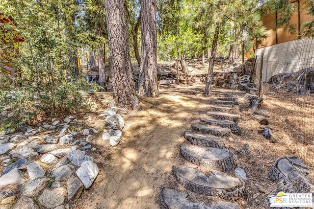 23031 Pine Needles Lane, Idyllwild, CA 92549
