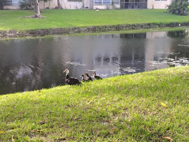 3001 NW 46th Avenue 301, Lauderdale Lakes, FL 33313