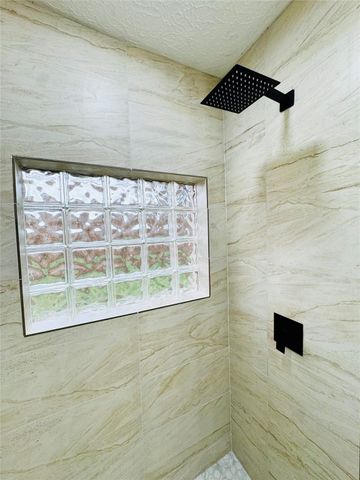 2326 Briarview Drive, Houston, TX 77077