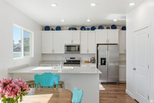 1123 S RED DR, Santaquin, UT 84655