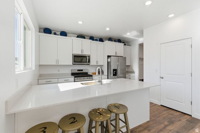 1123 S RED DR, Santaquin, UT 84655