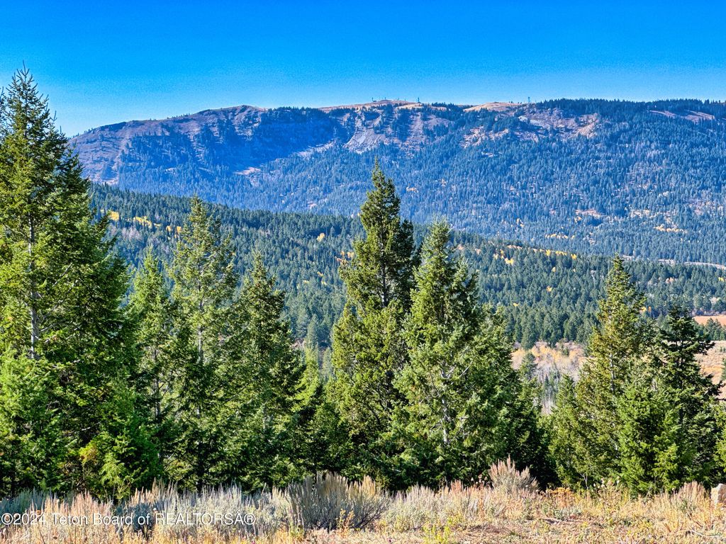 TETON JEWEL PROPERTIES, Driggs, ID 83422 photo 10