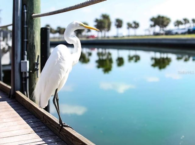 BAYNES ROAD, North Port, FL 34288