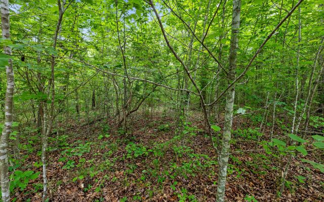 41 Quill Haven Drive, Signal Mountain, TN 37377