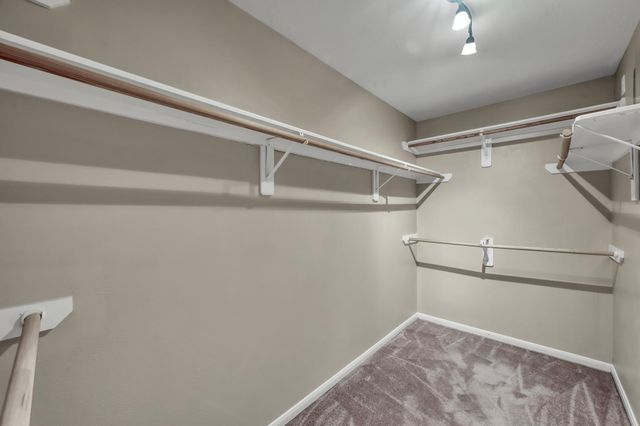 14 Bay Chapel Court, The Woodlands, TX 77385