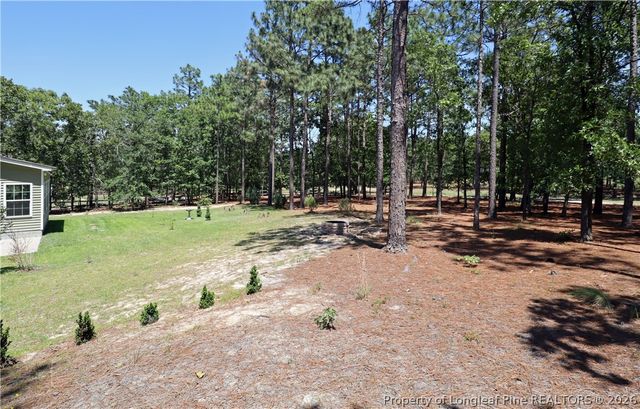 39 Forest Lake Drive, Jackson Springs, NC 27281