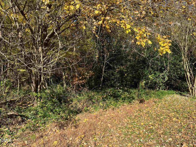 2715a Cammie Street, Durham, NC 27705