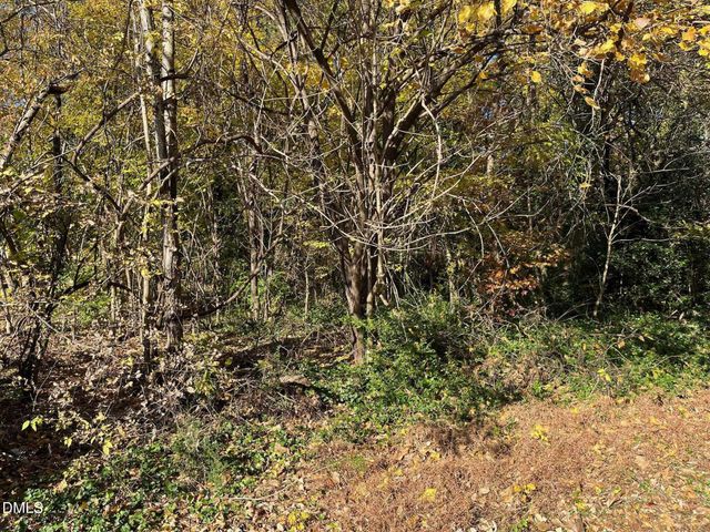 2715a Cammie Street, Durham, NC 27705