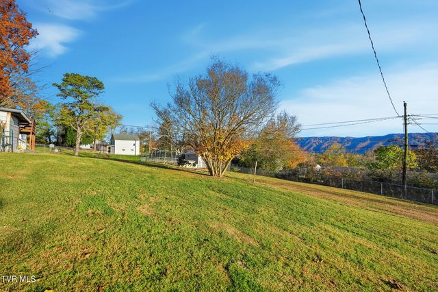 432 Dogwood Street, Mount Carmel, TN 37645